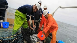 PRODUCE: Autorizan primera temporada de pesca 2026 de anchoveta en la zona sur