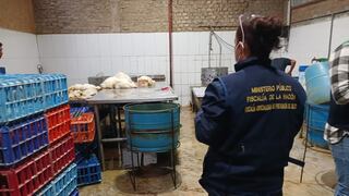 Piura: Multan y clausuran avícolas por insalubridad y falta de documentación