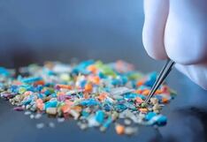 Los microplásticos se pueden acumular más en el cerebro que en el riñón o el hígado