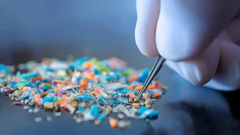 Un análisis de muestras post mortem entre 2016 y 2024 revela que el cerebro humano acumula niveles más altos de estas partículas que otros órganos, lo que podría tener implicaciones futuras en la salud.