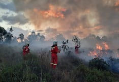 Fenómeno El Niño Costero podría generar incendios en la Amazonía peruana, según experto