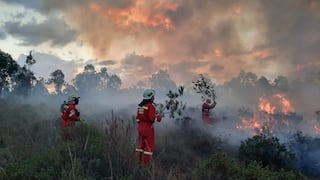 Fenómeno El Niño Costero podría generar incendios en la Amazonía peruana, según experto