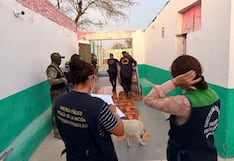 Piura: Incautan colchones en malas condiciones en prostíbulo