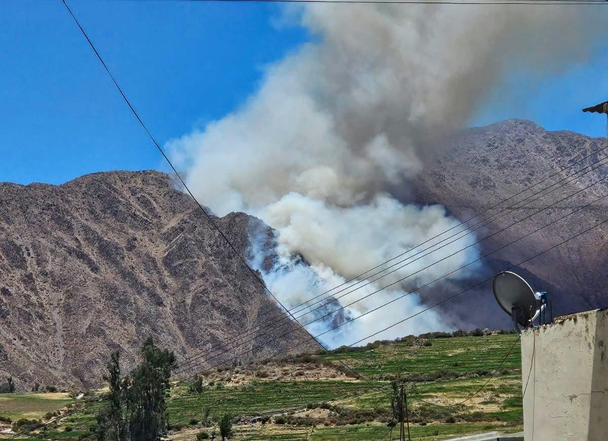Incendio forestal pone en riesgo la flora y fauna de Viraco, Castilla (Foto: Municipalidad de Viraco)