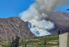 Incendio forestal pone en riesgo la flora y fauna de Viraco, Castilla