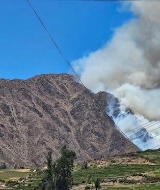 Incendio forestal pone en riesgo la flora y fauna de Viraco, Castilla (Foto: Municipalidad de Viraco)