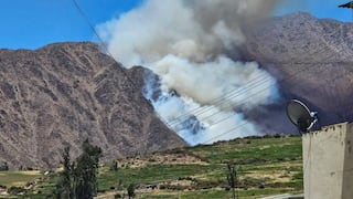 Incendio forestal pone en riesgo la flora y fauna de Viraco, Castilla