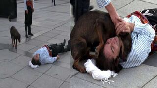 Perro callejero interrumpe escena y consuela a actor que interpretaba a un herido (VIDEO)