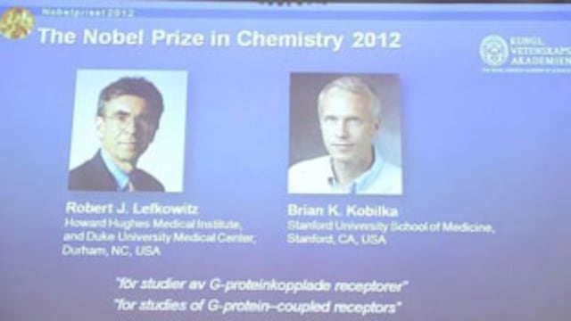 Dos estadounidenses ganan el Nobel de Química 2012