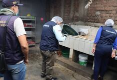 Hallan cucarachas y heces de roedores en conocida pollería en Huánuco