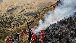 Alarmante: Ola de incendios forestales se registran en varias regiones del país