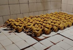 Intervienen camal clandestino que alteraba el color de pollos en Chiclayo