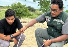 Hombre sobrevive a mordedura de una serpiente venenosa, en Piura