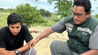 Hombre sobrevive a mordedura de una serpiente venenosa, en Piura