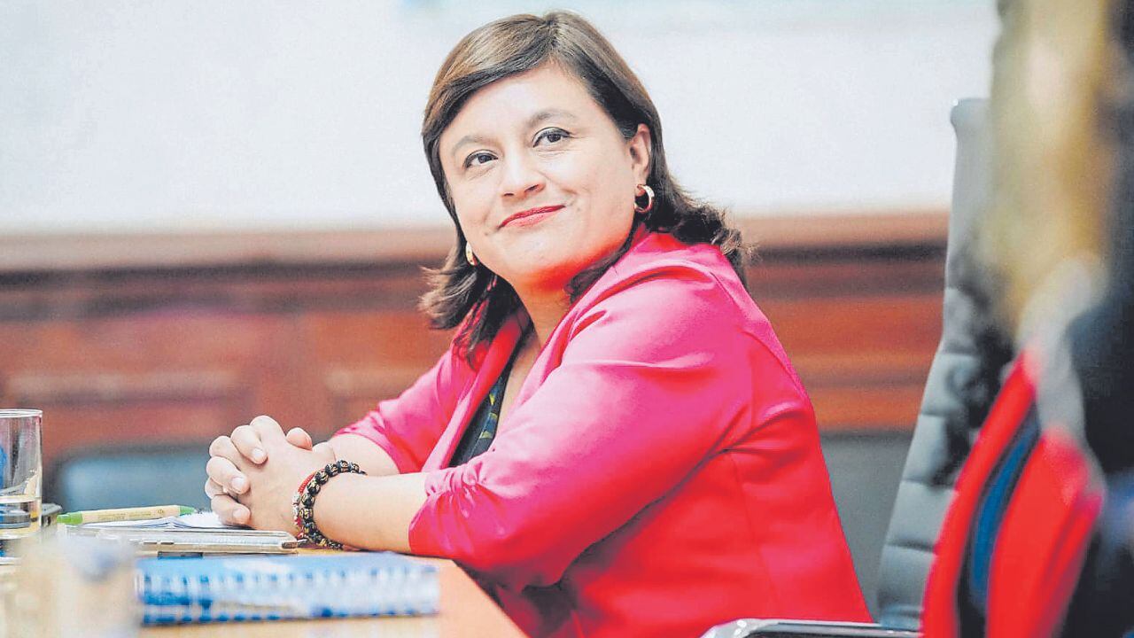 Su participación fue cancelada porque tenía que realizar trabajo de campo. Más de un consejero la cuestionó y demandaron citarla nuevamente.