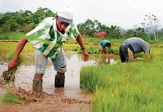 Piura: Hallan perjuicio de S/ 464,734 en UGEL Chulucanas