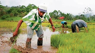Piura: Hallan perjuicio de S/ 464,734 en UGEL Chulucanas