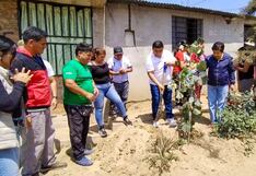 La Libertad: Realizan campaña de arborización en La Esperanza