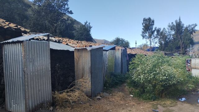 Huancavelica: Familias dejarán de utilizar silos fuera de sus viviendas