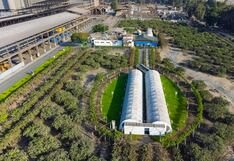 Pisco: Aceros Arequipa mantiene su liderazgo en el índice de sostenibilidad Dow Jones a nivel internacional