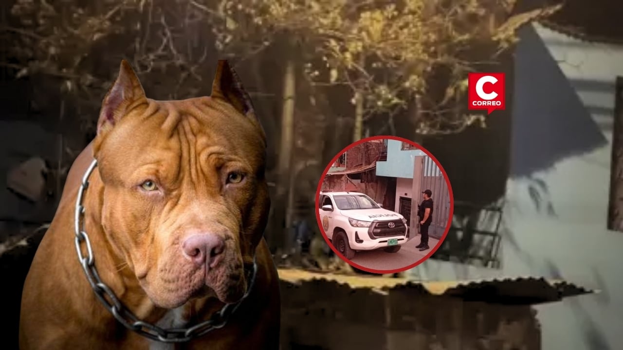 Policía Nacional detiene al padre de bebe que falleció atacada por pitbulls en San Juan de Lurigancho. Composición: Diario Correo.