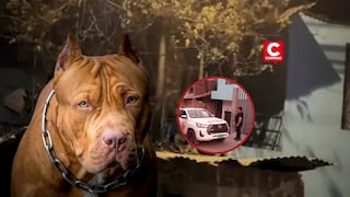 PNP detiene al padre de la bebé que falleció atacada por pitbulls en San Juan de Lurigancho