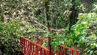 Catarata Honolulo en Huánuco es afectada por deslizamiento de arena tras intensas lluvias