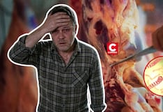 Alerta por Leptospirosis: sepa cómo evitar el contagio por mascotas o alimentos mal almacenados