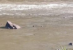 Pichanaqui: Se arroja al río para salvar a menores pero aguas lo arrastran y desaparece