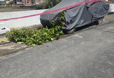 Arequipa: Árbol se hunde y vía en riesgo de colapsar ante ingreso de agua en torrentera (VIDEO)