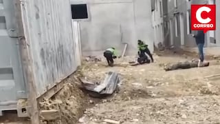 Menores investigados en libertad y adultos encarcelados tras intento de robo en Huancayo