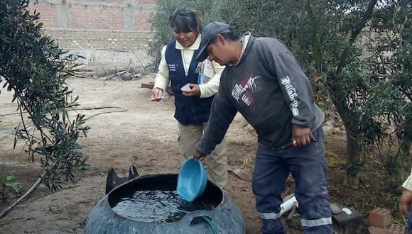 Se busca controlar casos de dengue en Arequipa. (Foto: GEC)