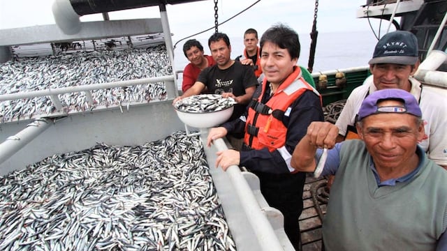 Produce evalúa iniciar la  segunda temporada de pesca de anchoveta en el norte