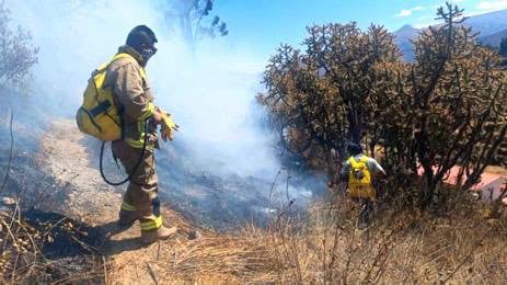 Incendio forestal afecta 15 hectáreas en Chivay (Foto: COER)