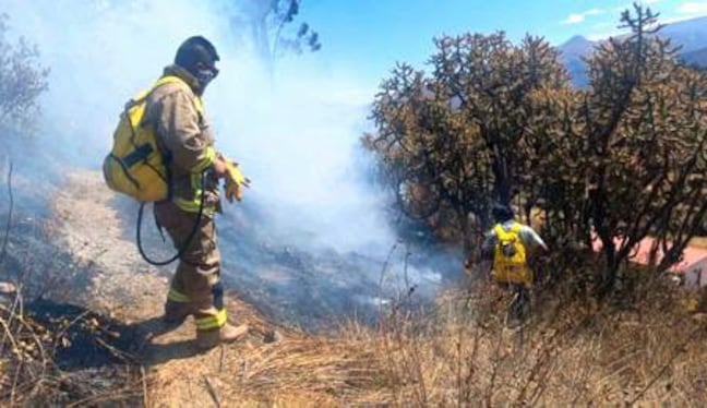 Incendio forestal afecta 15 hectáreas en Chivay (Foto: COER)