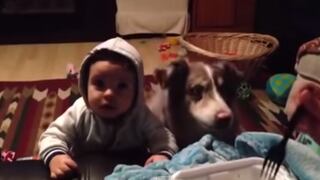 Video: Le enseñan a bebé a decir mamá, pero su perro aprendió