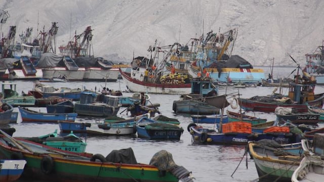 Pesca en pequeña escala provee el 90% del empleo en el sector, según Produce