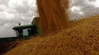 Trabajadores mueren sepultados por toneladas de soja 