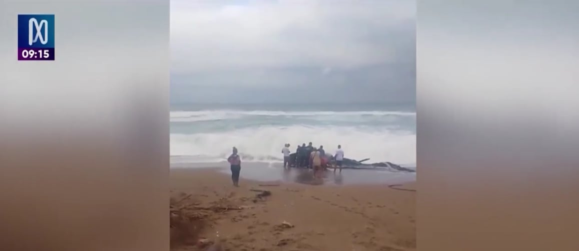 Equipos de rescate, pescadores y familiares mantienen las labores por mar y tierra para ubicar a los tripulantes venezolanos desaparecidos desde el 29 de junio. FOTO: CAPTURA CANAL N.
