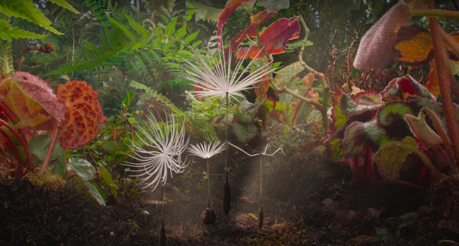 La película dirigida por Momoko Seto se estrenará el 23 de julio con una historia sobre supervivencia y naturaleza, contada sin diálogos.