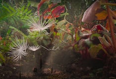 El gran viaje, la premiada cinta de animación de Cannes y Annecy, llega a los cines peruanos