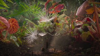 El gran viaje, la premiada cinta de animación de Cannes y Annecy, llega a los cines peruanos