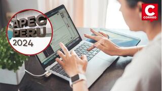 Gobierno decreta teletrabajo obligatorio y clases virtuales por APEC los días 11, 12 y 13 de noviembre