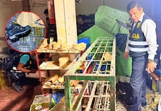 Arequipa: Cae banda que fabricaba zapatillas bamba en taller clandestino en Mariano Melgar