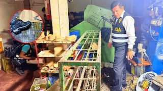 Arequipa: Cae banda que fabricaba zapatillas bamba en taller clandestino en Mariano Melgar