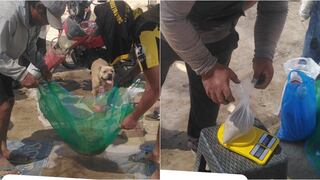 Ica: analizan el suelo en campos agrícolas del sector de Santiaguillo, en el distrito de Santiago