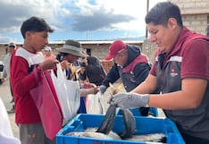 Tacna: Decomisan 4.5 toneladas de pescado por exceder cuotas asignadas a naves