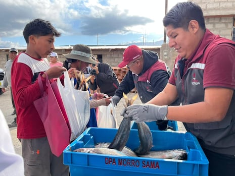 Tacna: Decomisan 4.5 toneladas de pescado por exceder cuotas asignadas a naves