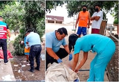 Ica: adulto mayor llevaba dos días pidiendo ayuda por su salud en Los Aquijes