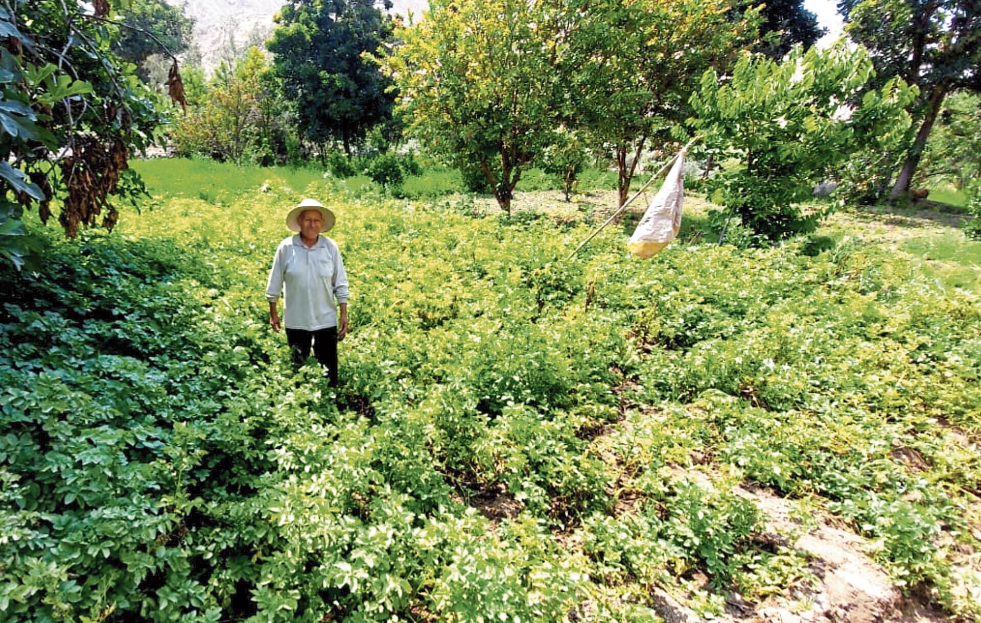 Requieren que sus terrenos sean saneados. (Foto: GEC)